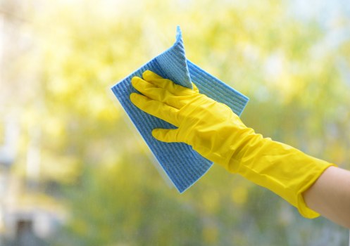 Professional regular cleaning for a Highbury property with period features