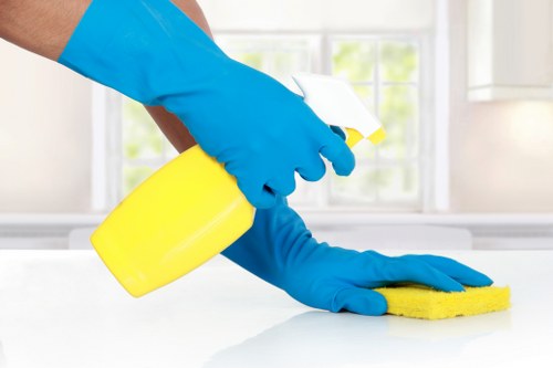 Routine domestic cleaning in a Highbury apartment with practical local access