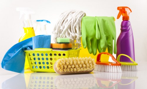 Professional pet stain odour removal service for carpets in a Highbury home