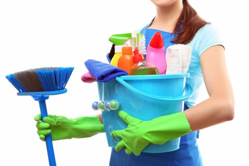 Deep cleaning support for a Highbury period property
