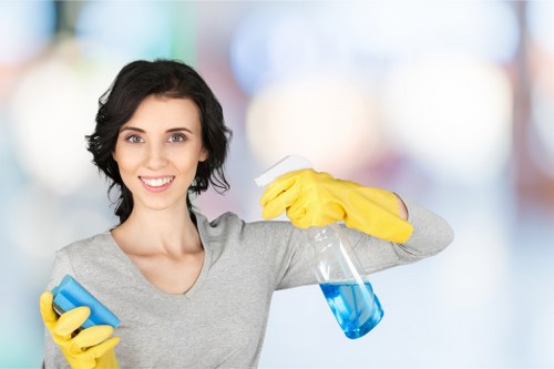 Professional carpet deep cleaning process for a Highbury flat