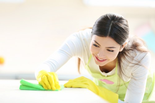 Regular domestic cleaning support for Highbury residents