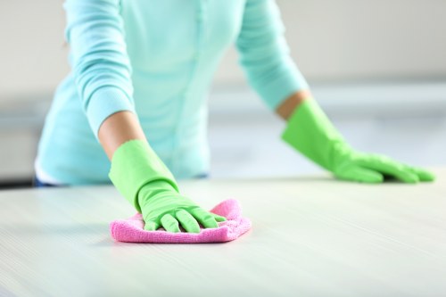 Cleaning professional handling supplies and checklist