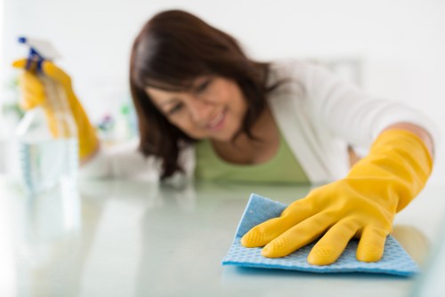 Cleaning supplies and home care setup for a Highbury property