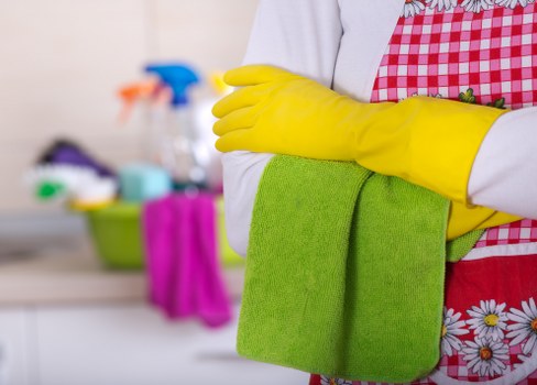 Local cleaning team providing scheduled upkeep for a Highbury home or business