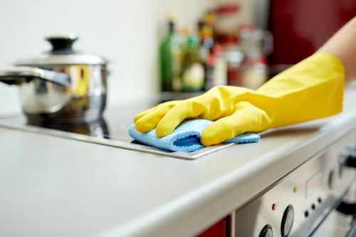 Checklist preparation for a one-off clean in Highbury