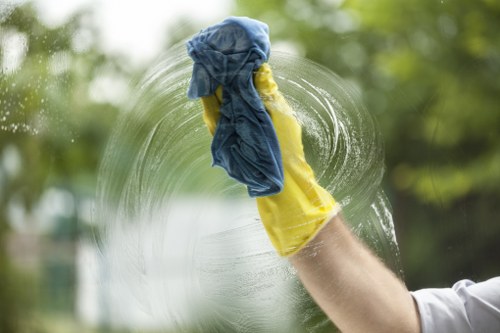 Domestic cleaning tasks in a Highbury kitchen and living area