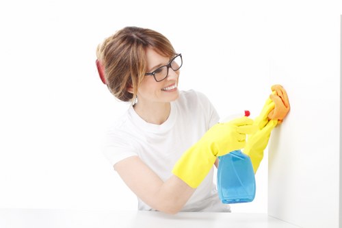 Deep cleaning upholstery affected by pet stains in Highbury