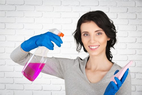 Risk assessment notes and safety checklist prepared before cleaning