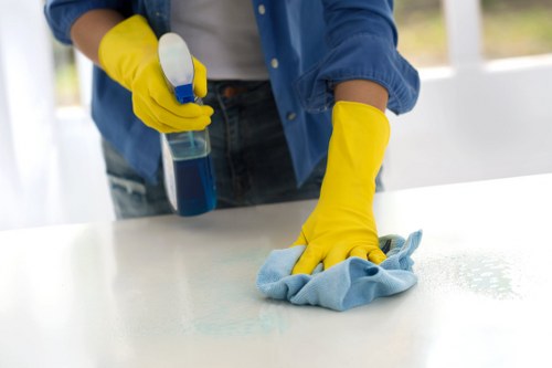 Technician cleaning a lounge sofa in a Highbury flat