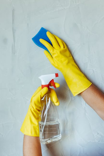 A person wearing bright yellow rubber gloves is cleaning a white wall surface with a blue sponge, while holding a transparent spray bottle filled with cleaning liquid in the other hand. The wall appears smooth and painted white, and the cleaning process is part of surface cleaning or deep cleaning. The scene emphasizes hygiene and maintenance typical of domestic cleaning activities, as performed by Cleaner Highbury, to enhance cleanliness and presentation of residential or commercial spaces.